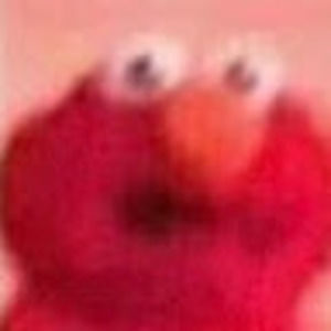 Meet your Posher, Ella